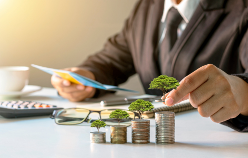 Why Financial Issues Need the Right Guidance